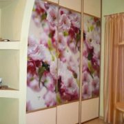 Шкаф-купе с фотопечатью